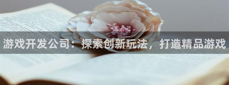 沐鸣咨询：游戏开发公司：探索创新玩法，打