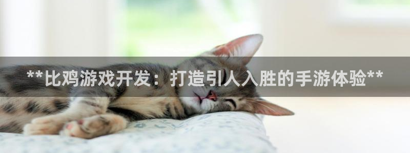 沐鸣登录地址：**比鸡游戏开发：打造引人
