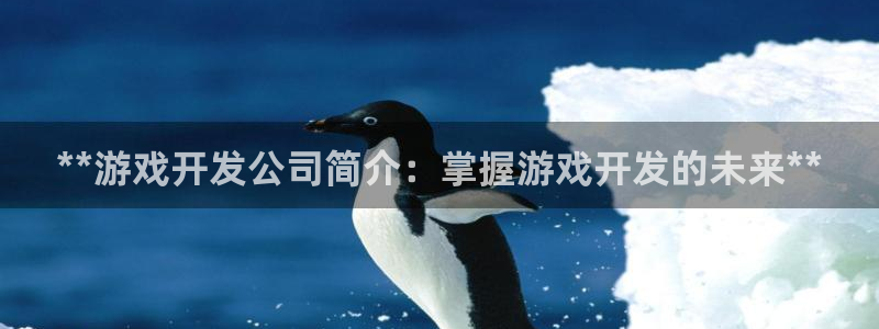 沐鸣1平台招商：**游戏开发公司简介：掌