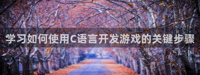 沐鸣科技和沐瞳科技：学习如何使用C语言开