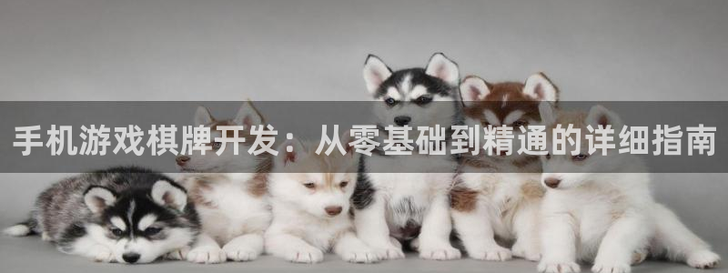 沐鸣娱乐平台登录：手机游戏棋牌开发：从零