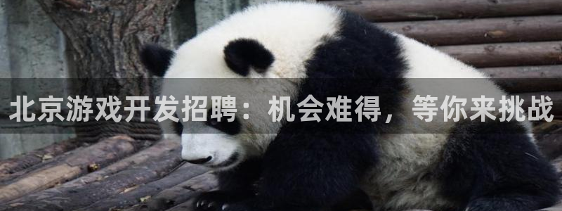 沐鸣平台官网：北京游戏开发招聘：机会难得