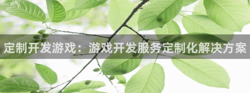 沐鸣娱乐官方平台是什么