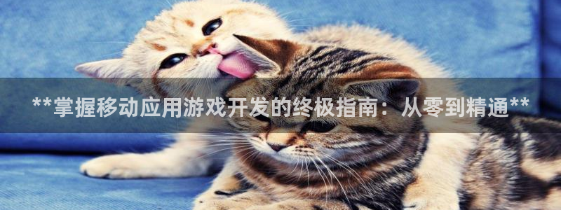沐鸣娱乐平台大不大呀：**掌握移动应用游