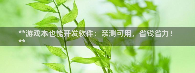 沐鸣科技有限公司官网招聘：**游戏本也能