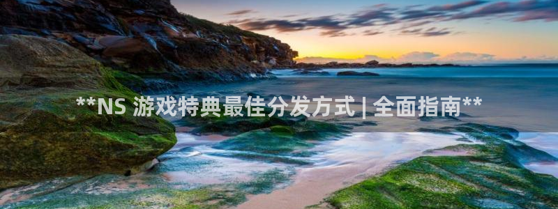 沐鸣娱乐平台怎么样啊：**NS 游戏特典