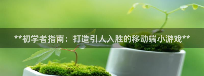 沐鸣平台官网注册：**初学者指南：打造引