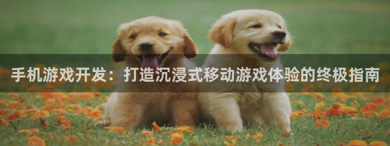 沐鸣注册开户：手机游戏开发：打造沉浸式移