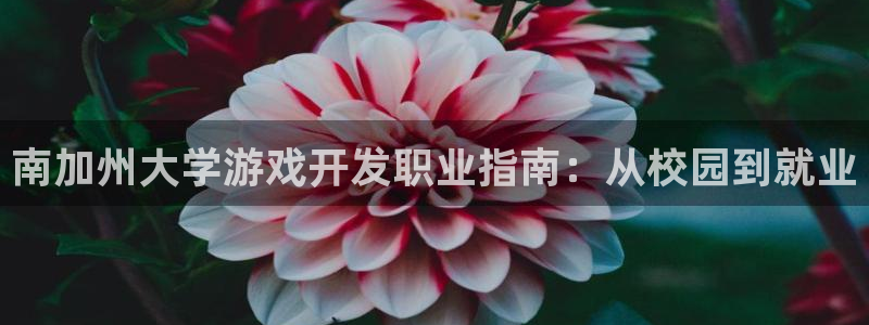 沐鸣平台注册资金多少：南加州大学游戏开发