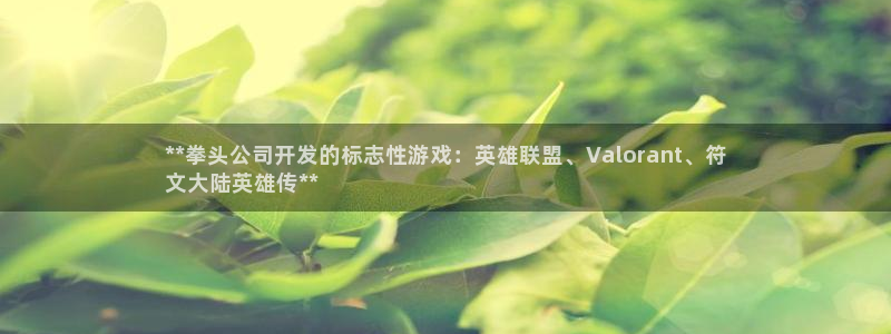 沐鸣平台官网注册：**拳头公司开发的标志