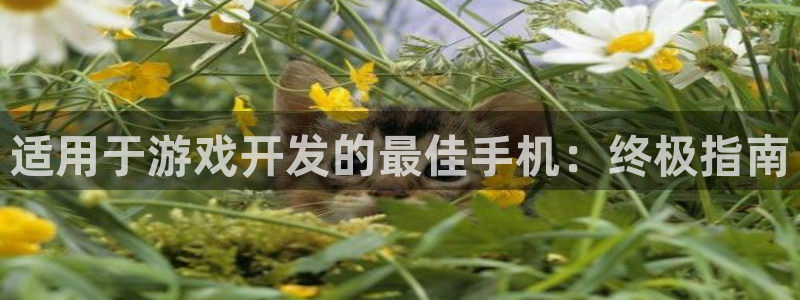 沐鸣娱乐是国外的吗：适用于游戏开发的最佳
