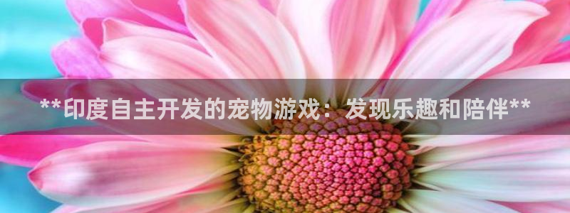 沐鸣娱乐1登录：**印度自主开发的宠物游