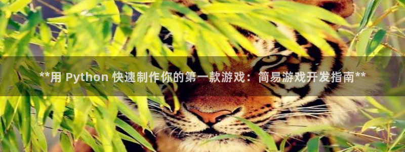 沐鸣1登陆：**用 Python 快速制