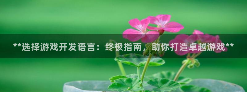 沐鸣娱乐为什么上不去了：**选择游戏开发