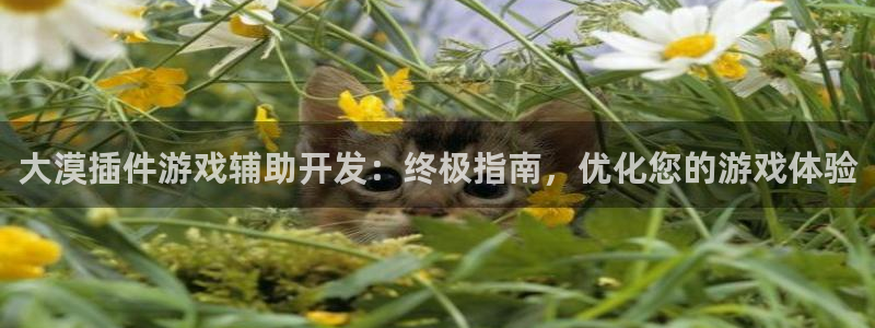 沐鸣娱乐-官方网站：大漠插件游戏辅助开发