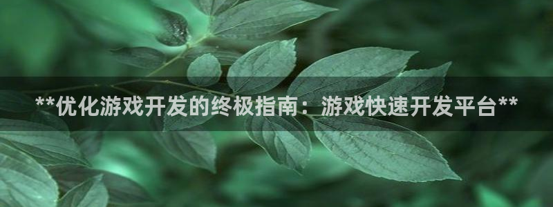 沐鸣平台app下载：**优化游戏开发的终