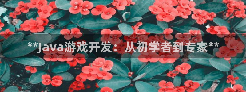 沐鸣娱乐是什么：**Java游戏开发：从
