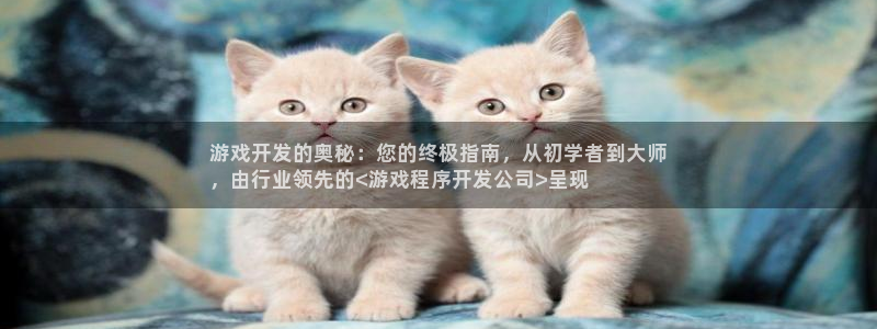 沐鸣科技业务员怎么样：游戏开发的奥秘：您