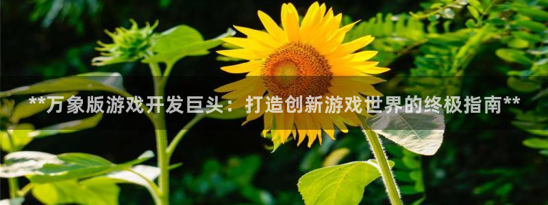 沐鸣1平台登录线路：**万象版游戏开发巨