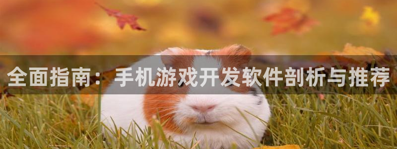 沐鸣娱乐游戏：全面指南：手机游戏开发软件
