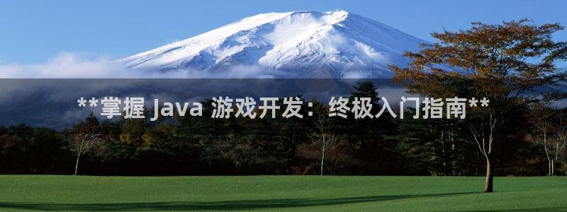 沐鸣网址：**掌握 Java 游戏开发：