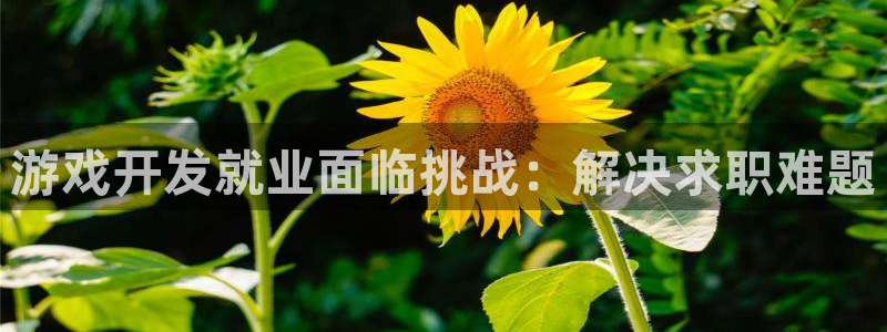 沐鸣科技业务怎么样：游戏开发就业面临挑战