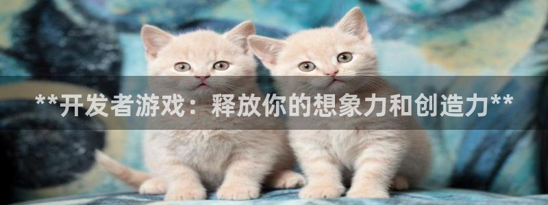 沐鸣娱乐注册登录平台：**开发者游戏：释