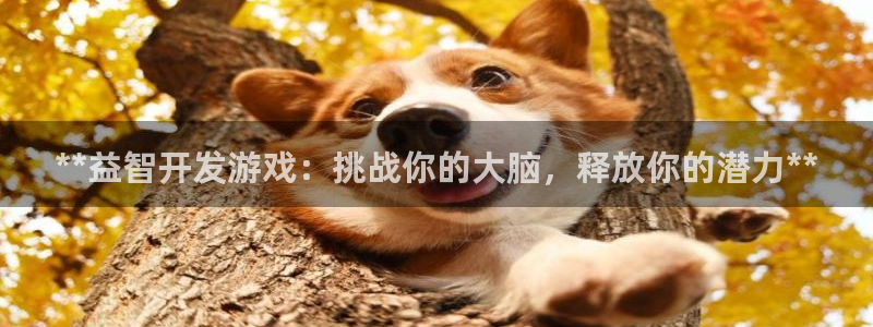 沐鸣娱乐代理是谁：**益智开发游戏：挑战