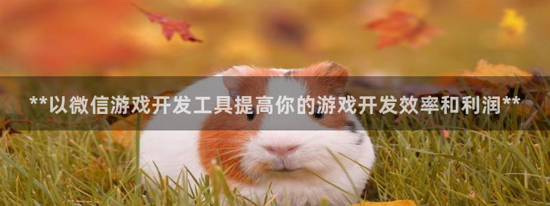 沐鸣平台注册：**以微信游戏开发工具提高