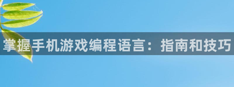 沐鸣平台app下载：掌握手机游戏编程语言