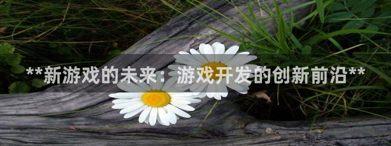 沐鸣平台官网：**新游戏的未来：游戏开发