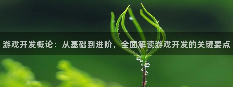 沐鸣娱乐平台登录网址：游戏开发概论：从基