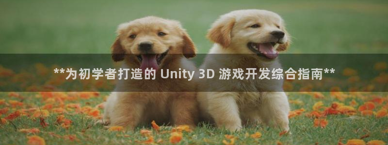 沐鸣娱乐二：**为初学者打造的 Unit