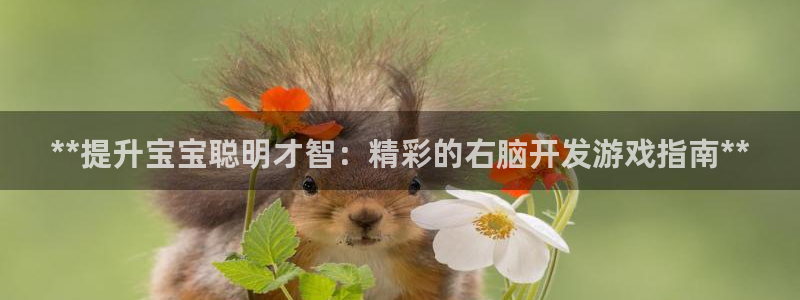 沐鸣3平台注册：**提升宝宝聪明才智：精