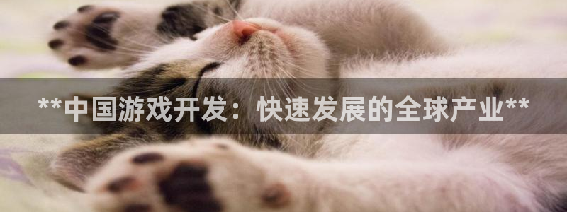 沐鸣娱乐1登录：**中国游戏开发：快速发
