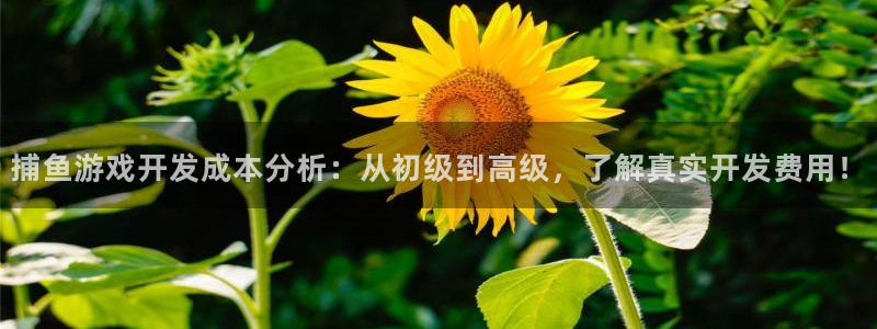 沐鸣平台注册登陆：捕鱼游戏开发成本分析：