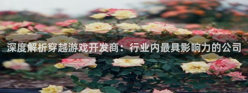 沐鸣科技有限公司地址：深度解析穿越游戏开