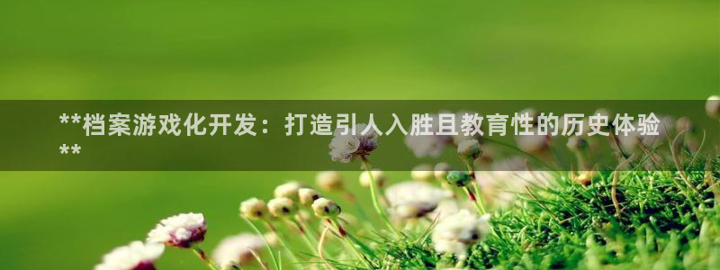 沐鸣平台：**档案游戏化开发：打造引人入