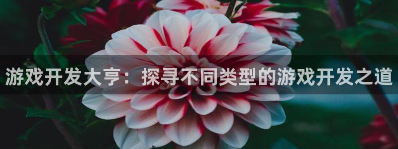 沐鸣娱乐平台登录入口下载安装：游戏开发大