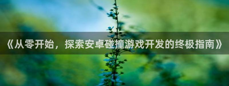 沐鸣网站：《从零开始，探索安卓碰撞游戏开