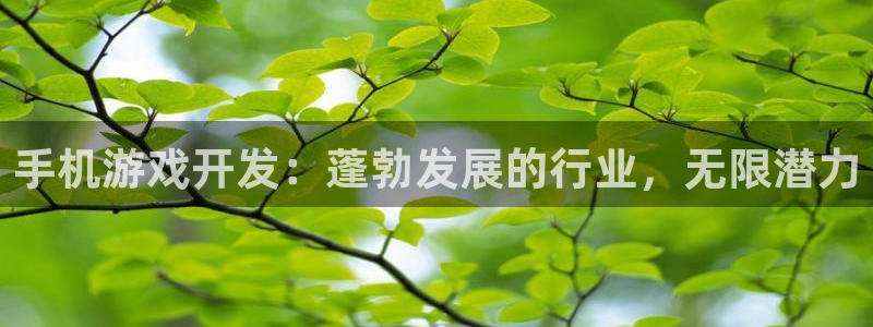 沐鸣科技业务：手机游戏开发：蓬勃发展的行