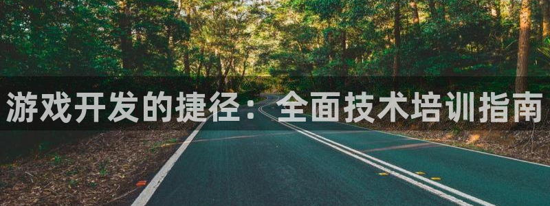 沐鸣1登录：游戏开发的捷径：全面技术培训