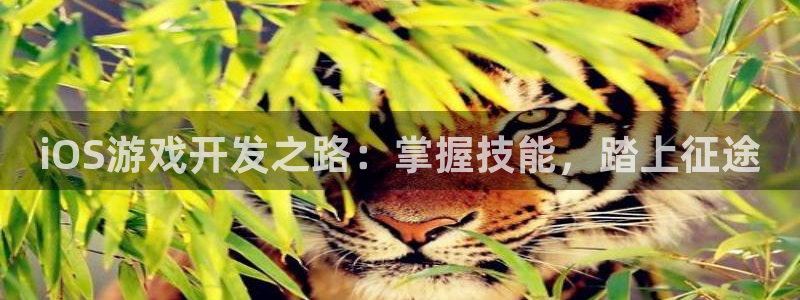 沐鸣代理登陆：iOS游戏开发之路：掌握技