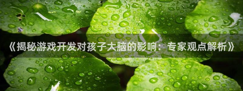 沐鸣娱乐注册平台是什么：《揭秘游戏开发对