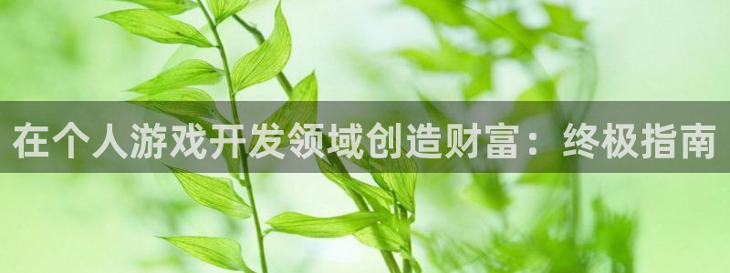 沐鸣网址官网首页：在个人游戏开发领域创造