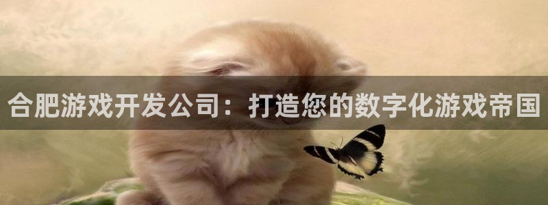 沐鸣注册网站：合肥游戏开发公司：打造您的