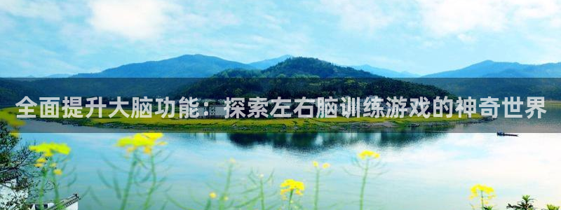沐鸣娱乐是什么：全面提升大脑功能：探索左