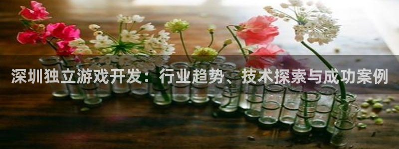 沐鸣注册网站是什么：深圳独立游戏开发：行