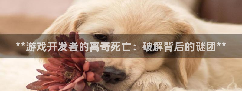 沐鸣注册登录：**游戏开发者的离奇死亡：