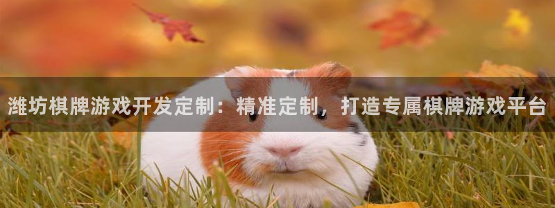 沐鸣娱乐是国外的吗：潍坊棋牌游戏开发定制